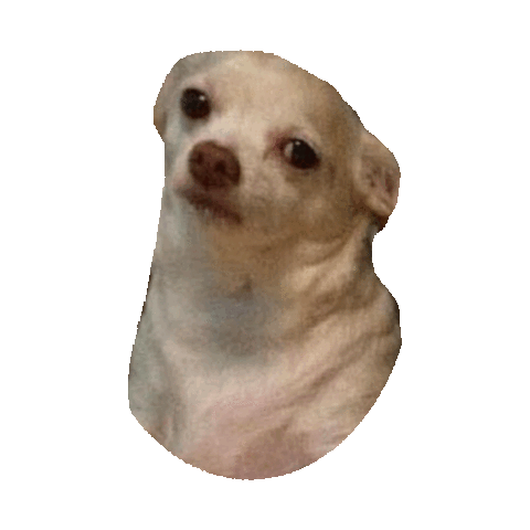 serious k STICKER by imoji
