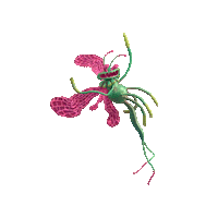 Mayfly Sticker by ViennaTouristboard