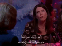 season 2 netflix GIF by Gilmore Girls 