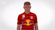 Red Bull Goal GIF by FC Red Bull Salzburg