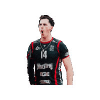 Volleyball Sticker by VK Jihostroj