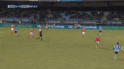 GIF by FOX Sports