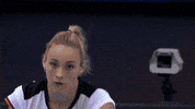 Germany Point GIF by Volleyball World