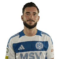 Zebras Coskun Sticker by msvduisburg