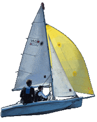 Laser Watersport Sticker by Zeilschool Op de Helling