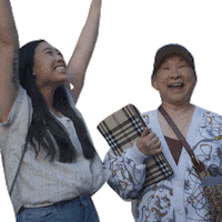 Comedy Central Lol Sticker by Awkwafina is Nora from Queens