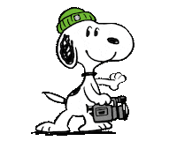 Charlie Brown Smile Sticker by Element