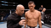 GIF by UFC
