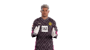 Football Sport Sticker by Borussia Dortmund