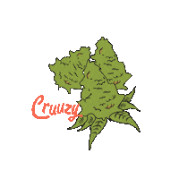 Cruuzy flower weed 420 cannabis Sticker