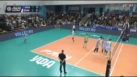 almazkhairov giphyupload GIF