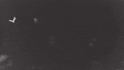 gabrielabran gabrielabran GIF