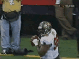 tampa bay buccaneers GIF