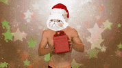 Rupauls Drag Race Christmas GIF by LogoTV
