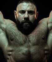 Gay Bear GIF by Database數據