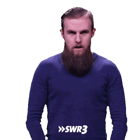 For Real Wtf Sticker by SWR3