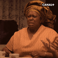 Fun Lol GIF by CANAL+