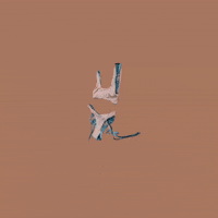 Av8ch av8ch culebrabyavh av8chbikini GIF