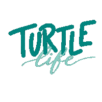 Turtle Sticker by Jugendtagung