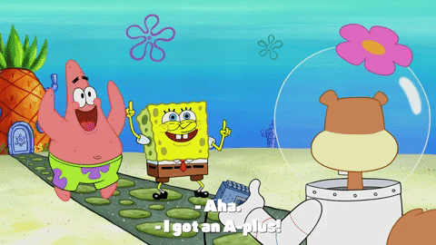 season 9 the fish bowl GIF by SpongeBob SquarePants