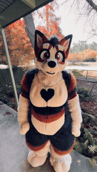 GenericFoxsuit mascot furry fursuit fursuiter GIF