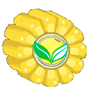 Agro Corn Sticker by Solo Verde Agribusiness