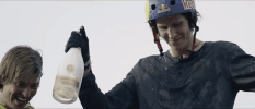 champion win GIF by Red Bull