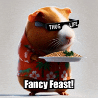 Guinea Pig Foodie GIF by Guinea Gambino