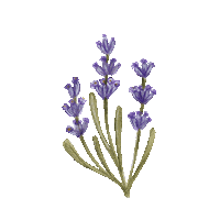 Flower Garden Sticker