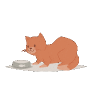 Cat Dog Sticker by Affinity