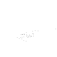 Ao Vivo Web Sticker by Programa Leilões