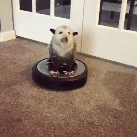 Mood Roomba GIF by JustViral