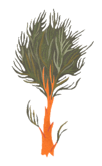 Plant Tree Sticker