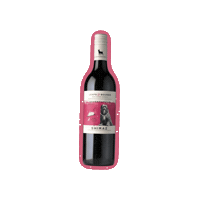 Red Wine Shiraz Sticker by Leaps & Bounds Wine