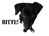 Leca Hundeblick Sticker by helpinganimalsromania
