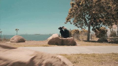 best friends dog GIF by Epitaph Records