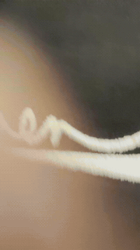 Reasoning GIF by thatcloudstudio