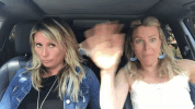 catandnat  GIF
