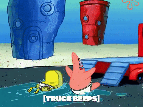 season 6 GIF by SpongeBob SquarePants