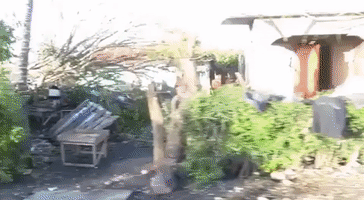 Haitians Face Backbreaking Clean-Up After Hurricane Matthew