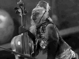 classic film monkey GIF by Warner Archive