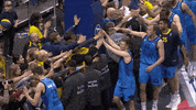 high five celebration GIF by EuroLeague