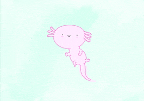 Axolotl GIF by CsaK