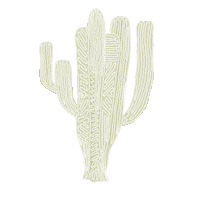 Joshua Tree Flower Sticker