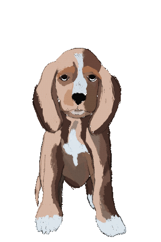 isabelatierradentro giphyupload dog tongue plane Sticker