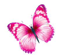 ritagifseadesivos butterfly flores flor rita gifs e adesivos Sticker