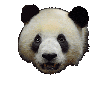 Design Colors Sticker by tikkurila