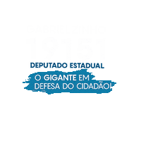 Santa Catarina Deputado Estadual Sticker by Gabrielzinho