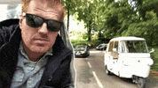 GIF by Trackside Legends