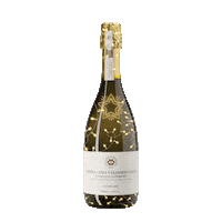 ProseccoCV cheers prosecco winelovers proseccosuperiore Sticker